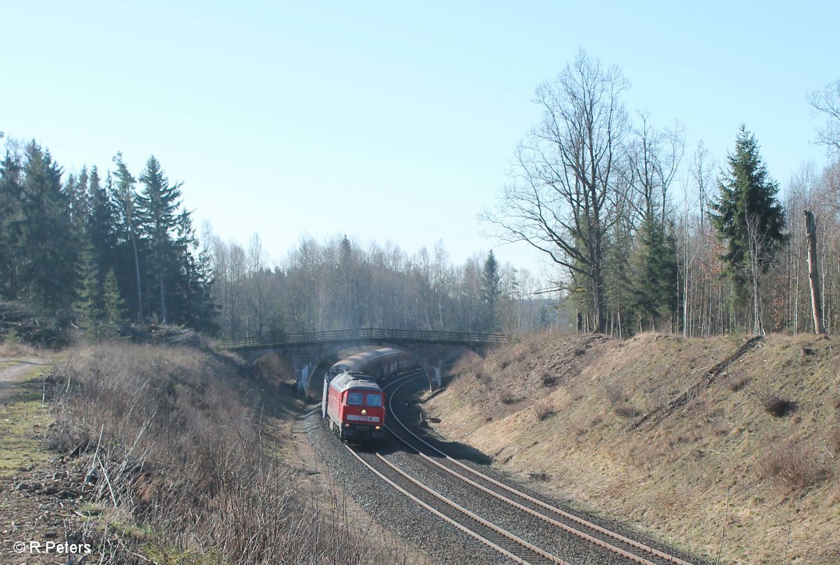 233 219 zieht den EZ 45367 Nürnberg - Cheb bei Schönfeld. 28.03.17