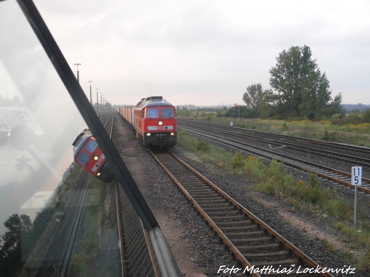 233 232 mit einem Gterzug in Baalberge am 3.9.15