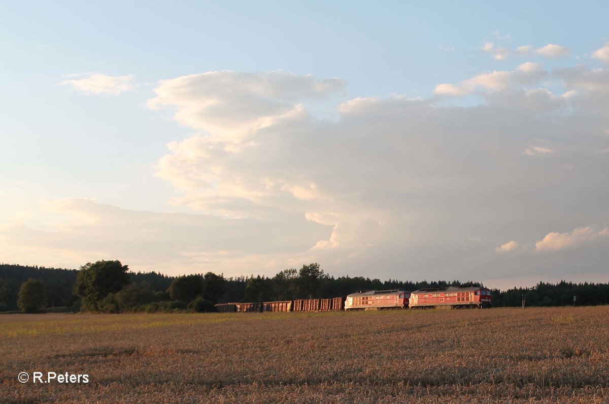 233 306 + 233 322 ziehen mit dem 45366 XTCH - NNR bei Oberteich vorbei. 29.06.17