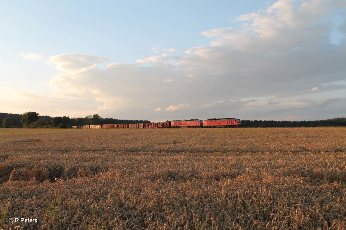 233 306 + 233 322 ziehen mit dem 45366 XTCH - NNR bei Oberteich vorbei. 29.06.17