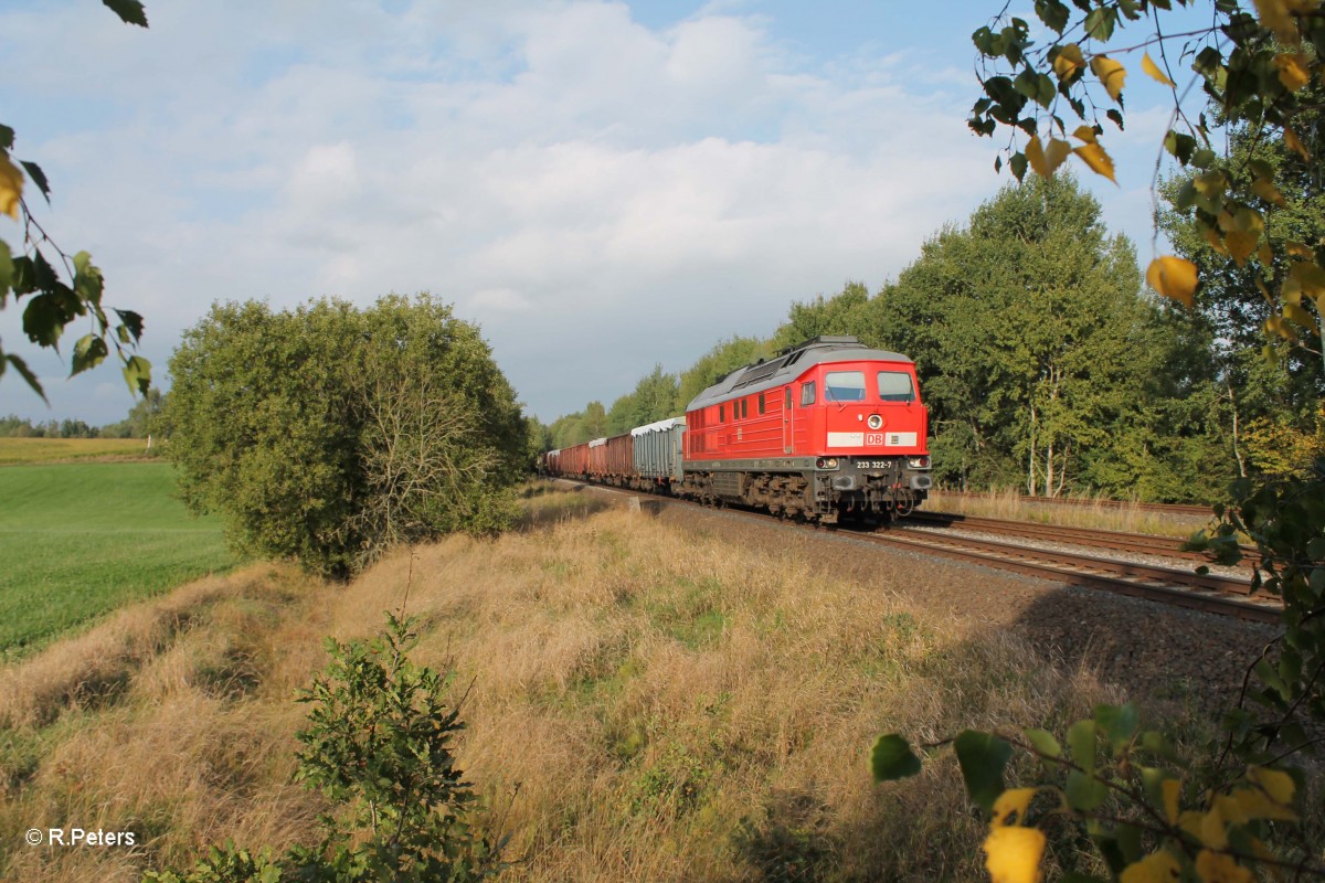 233 322-7 mit Schrottzug 49350 nach Nrnberg bei Schnfeld. 26.09.13