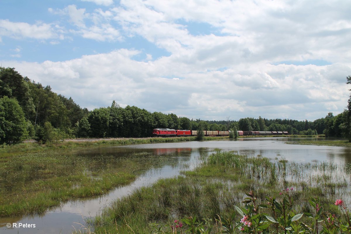 233 367 hat die 145 022 und den Frankenwald Umleiter 51723 NNR - LE im Schlepp und zieht hier gen NHO an mir vorbei. 09.07.16