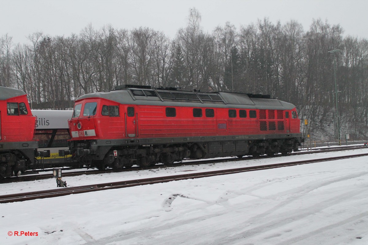 233 521 abgestellt in Marktredwitz 02.02.14