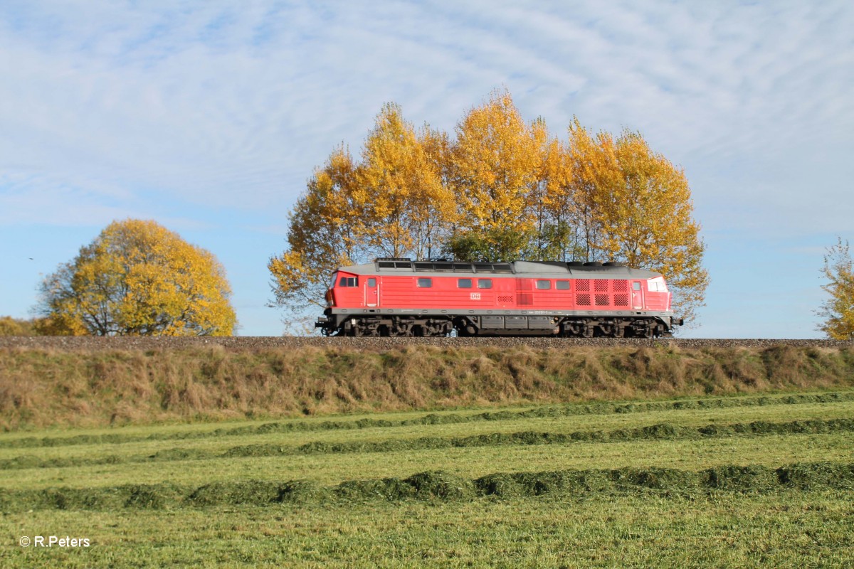 233 521 bei Oberteich. 22.10.13