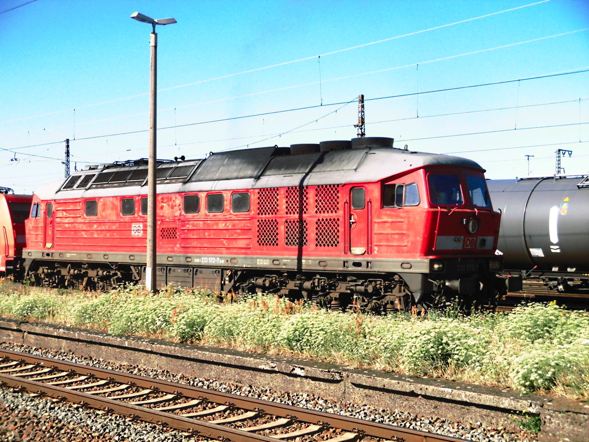 233 572 in Großkorbetha am 2.7.18