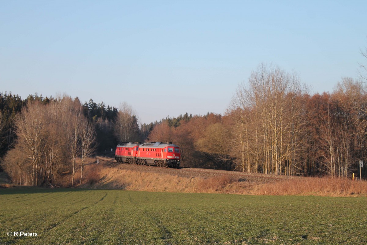 233 636 + 233 112 Lz bei Oberteich gen Sden. 17.03.16