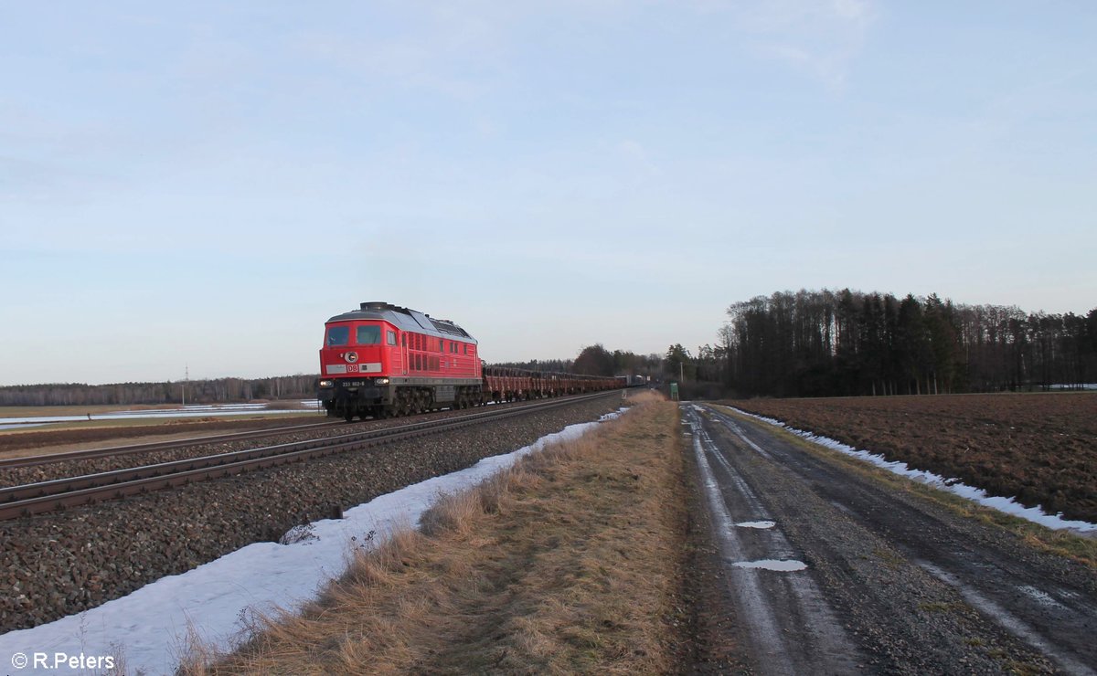 233 662 zieht mit dem EZ 45367 von NN nach XTCH bei Oberteich vorbei. 19.02.21