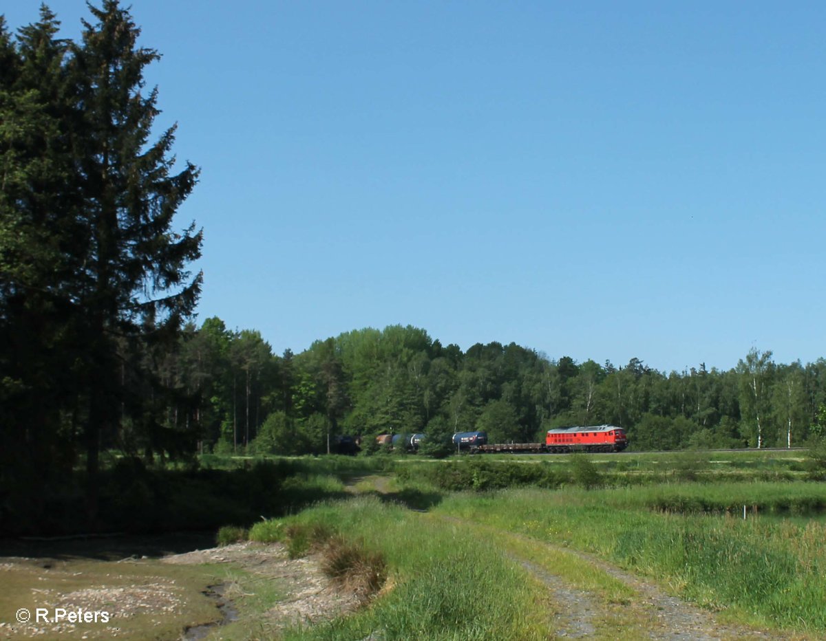 233 698 zieht kurz vor Wiesau den 51715 NNR - LE Frankenwald Umleiter. 26.05.16