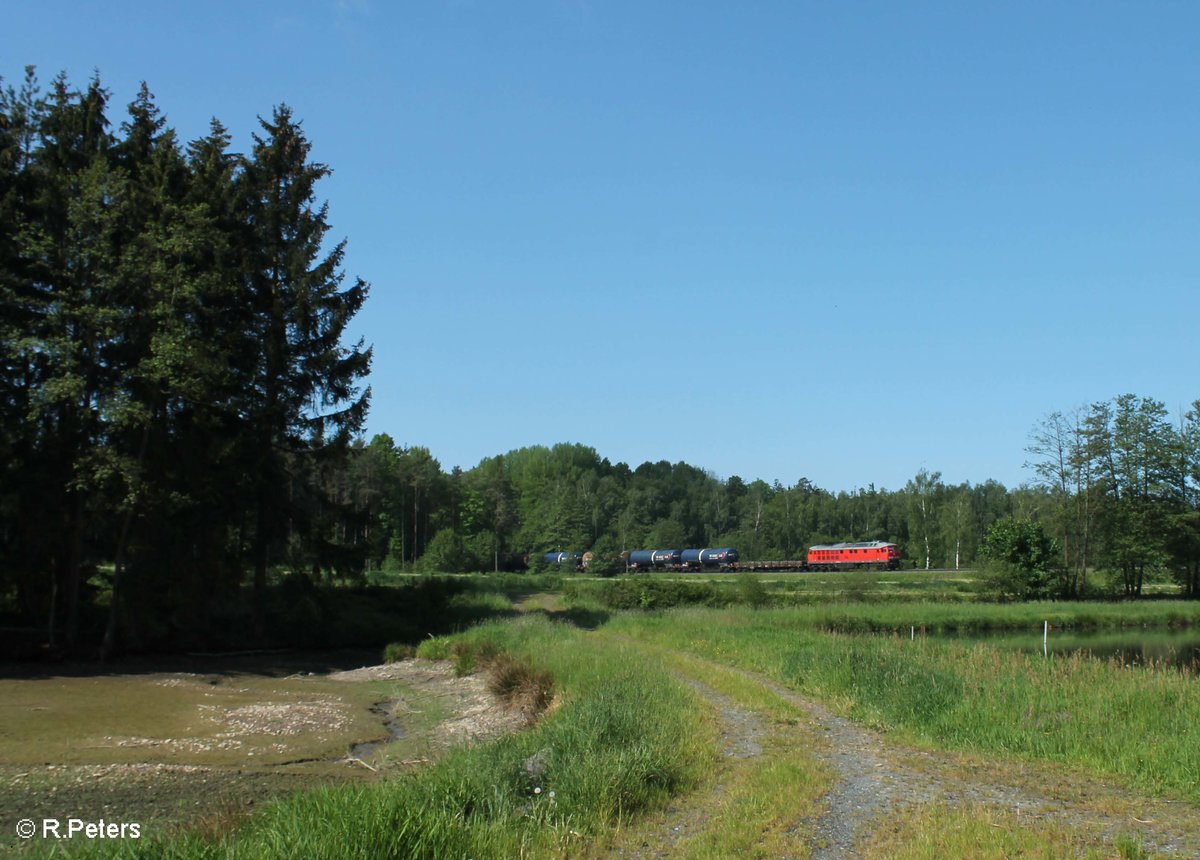 233 698 zieht kurz vor Wiesau den 51715 NNR - LE Frankenwald Umleiter. 26.05.16