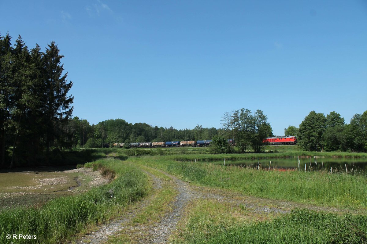 233 698 zieht kurz vor Wiesau den 51715 NNR - LE Frankenwald Umleiter. 26.05.16