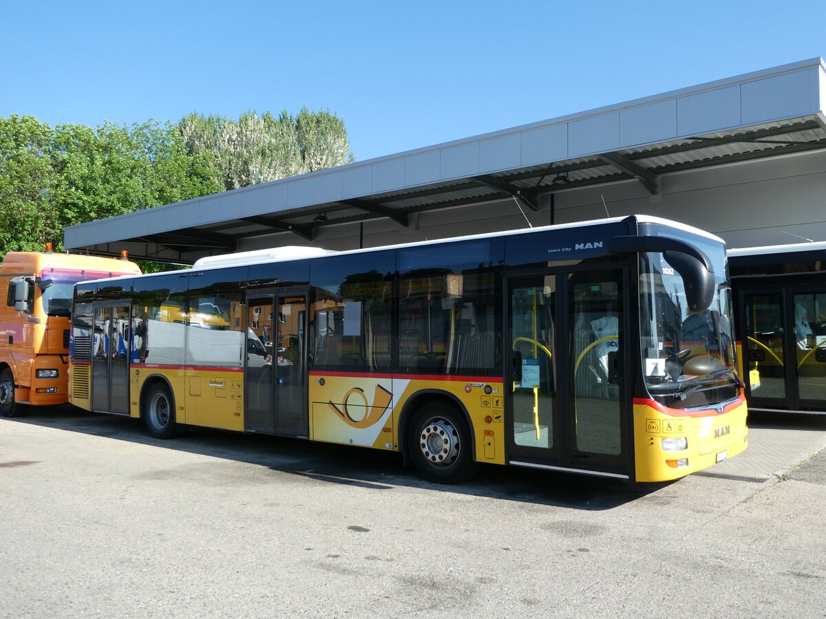 (235'578) - CarPostal Ouest - VD 606'211 - MAN (ex JU 51'287; ex Nr. 22) am 15. Mai 2022 in St-Blaise, Recam