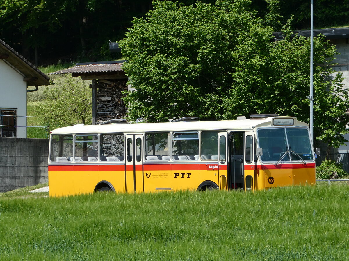 (235'684) - Gast, Reutigen - BE 113'160 - Saurer/Tscher (ex HPTrans, Thusis; ex Mauerhofer, Worb; ex Erni, Schupfart Nr. 3; ex P 24'636) am 15. Mai 2022 in Alchenstorf, Wil