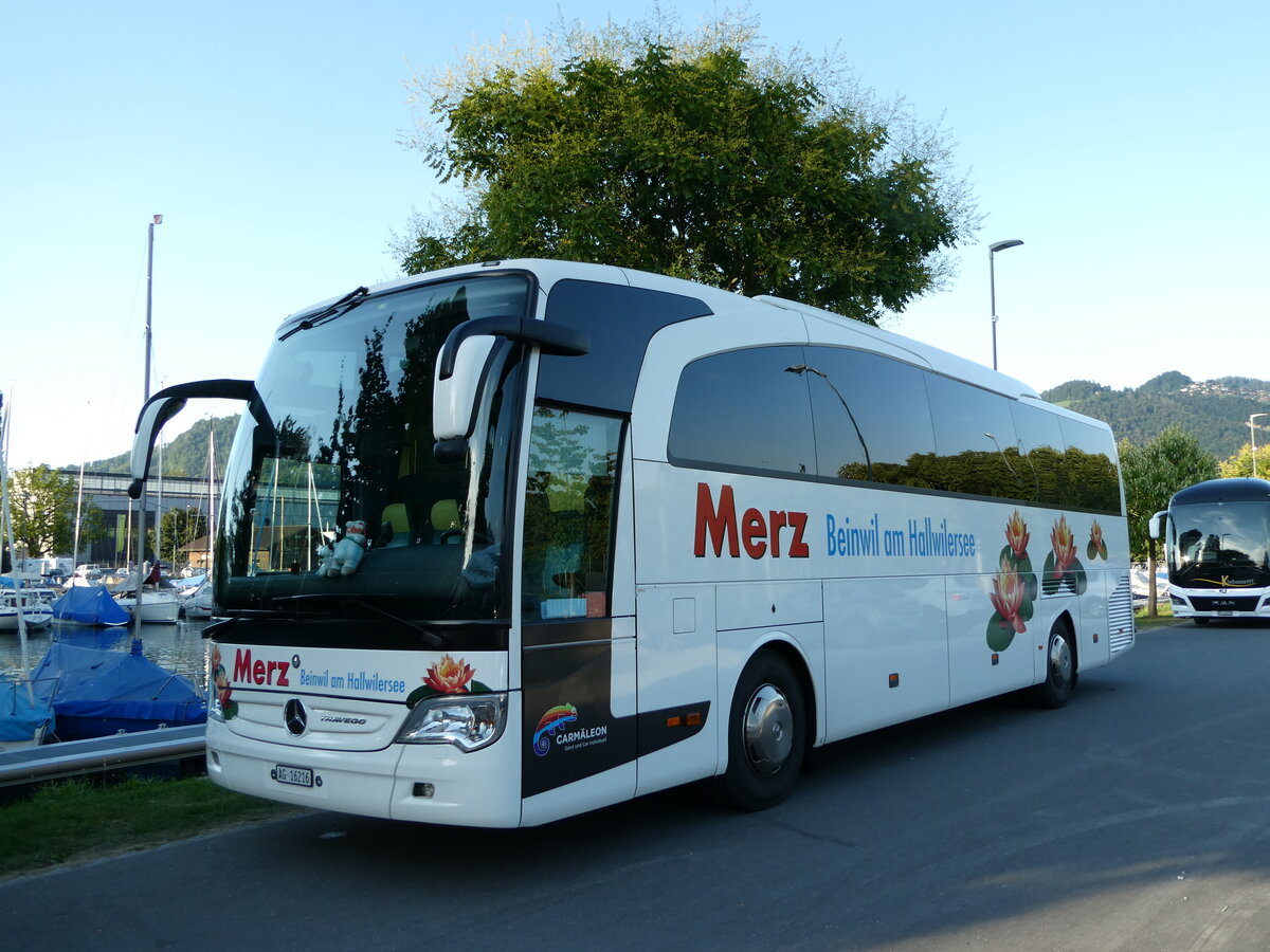 (238'203) - Merz, Beinwil - AG 16'216 - Mercedes am 16. Juli 2022 in Thun, Strandbad