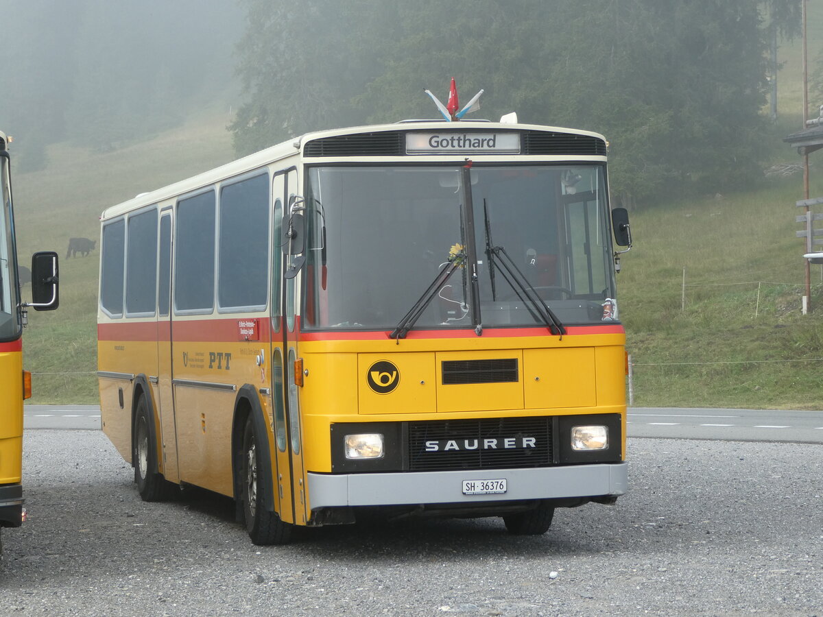 (239'776) - Roth, Zrich - SH 36'376 - Saurer/Tscher (ex Looser, Elm; ex Mattli, Wassen) am 28. August 2022 in Stalden, Langis