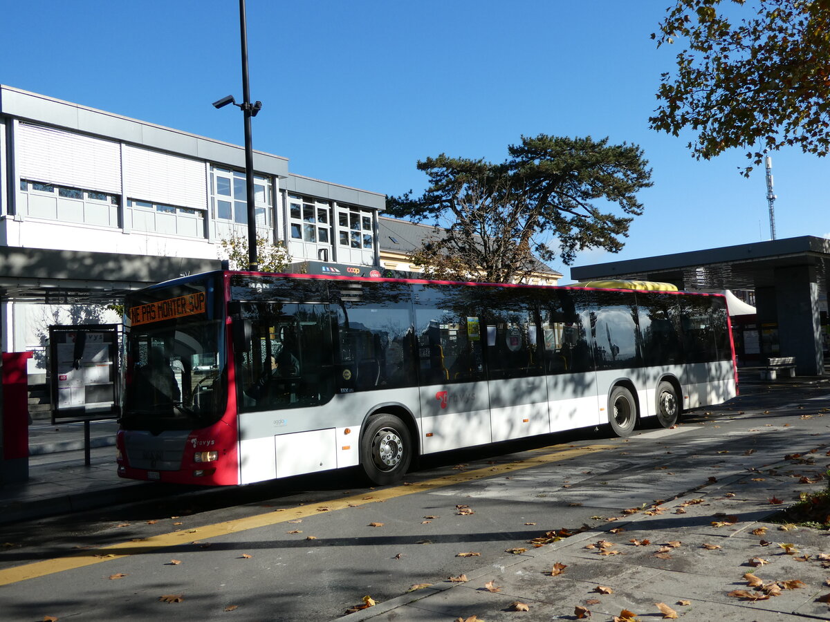 (242'345) - TRAVYS Yverdon - Nr. 142/VD 331'569 - MAN (ex STI Thun Nr. 131) am 10. November 2022 beim Bahnhof Yverdon