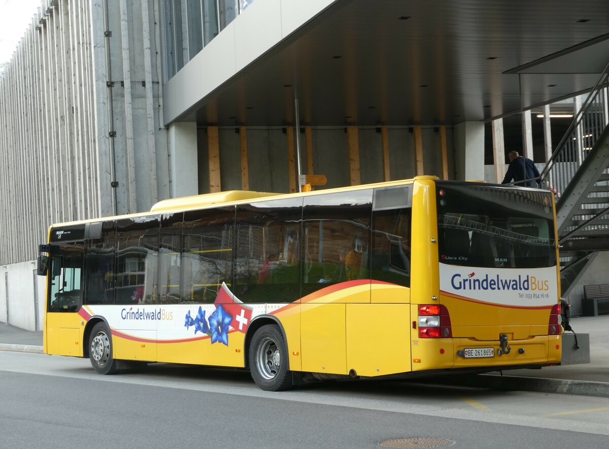 (248'891) - Grindelwaldbus, Grindelwald - Nr. 11/BE 261'865 - MAN/Gppel am 19. April 2023 in Grindelwald, Terminal