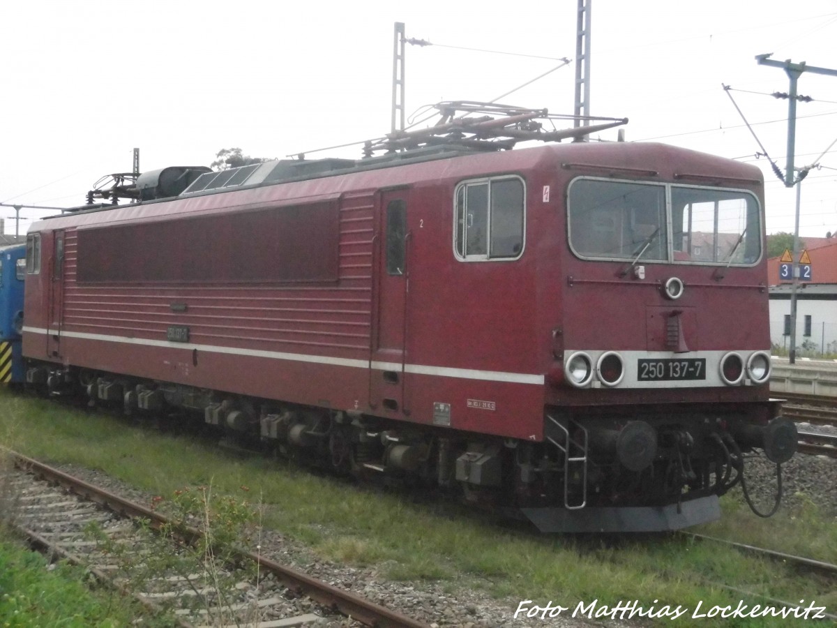 250 137-7 der LEG abgestellt in Delitzsch am 3.9.15