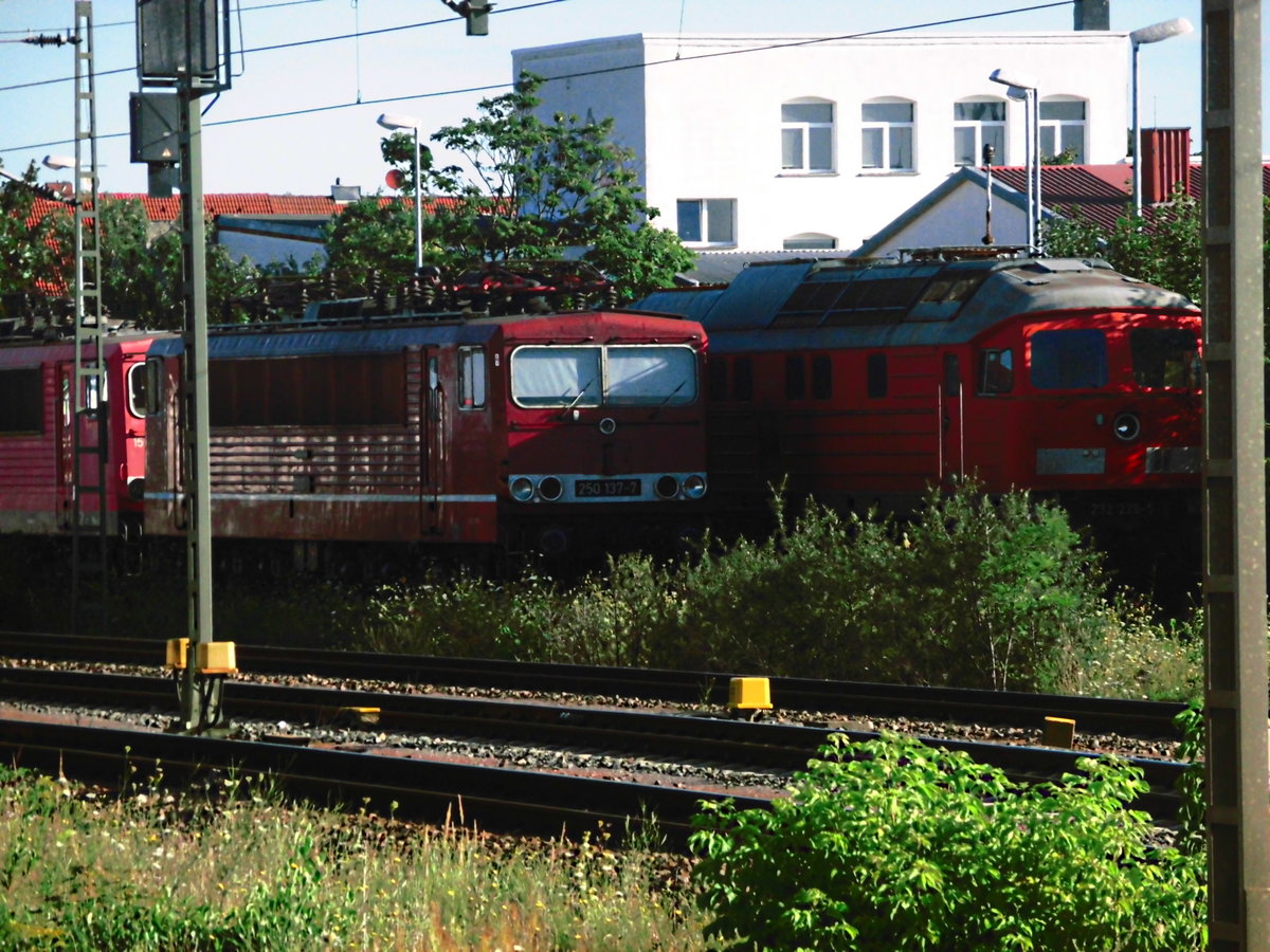 250 137 abgestellt in Delitzsch am 31.7.17