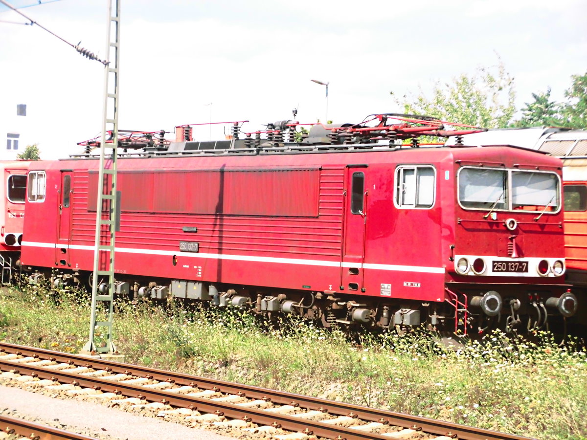 250 137 abgestellt in Delitzsch am 31.7.17