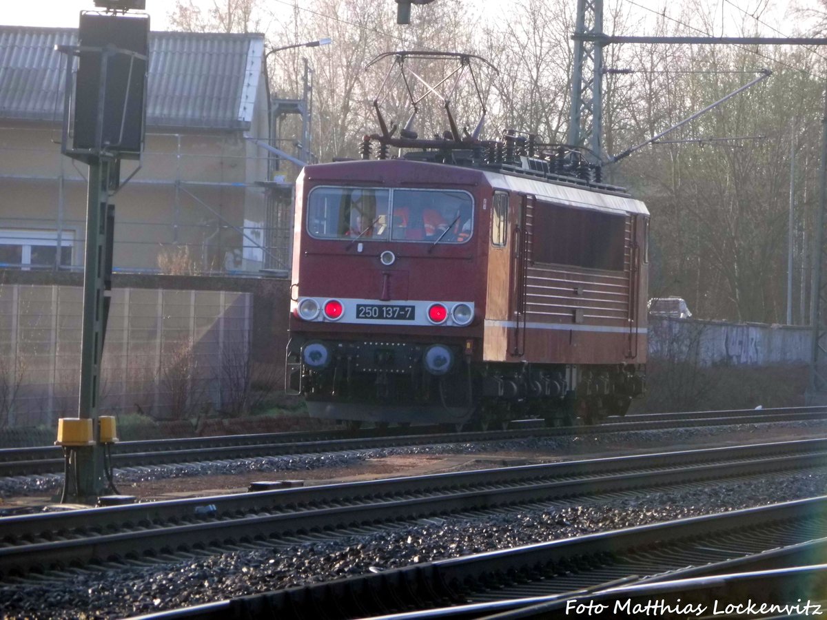 250 137 Fhrt in Richtung LEG Abstellanlage in Delitzsch am 24.3.17