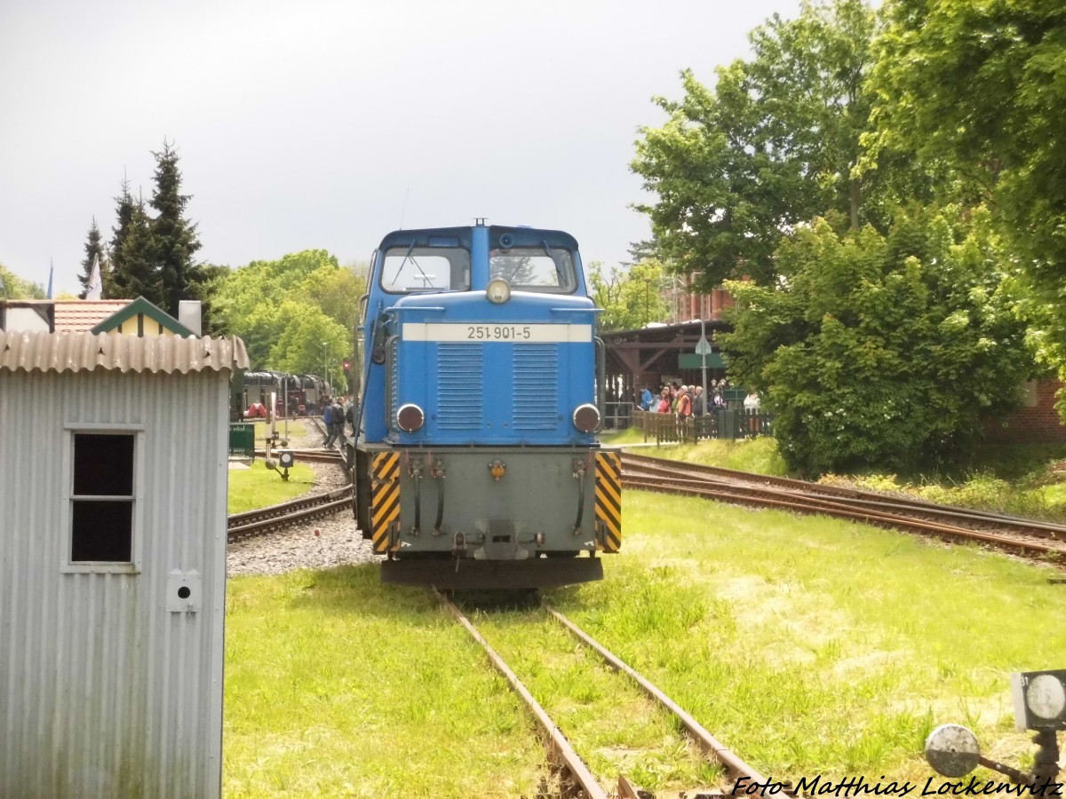 251 901 auf dem Anschlussgleis zur Tankstelle in Putbus am 30.5.15