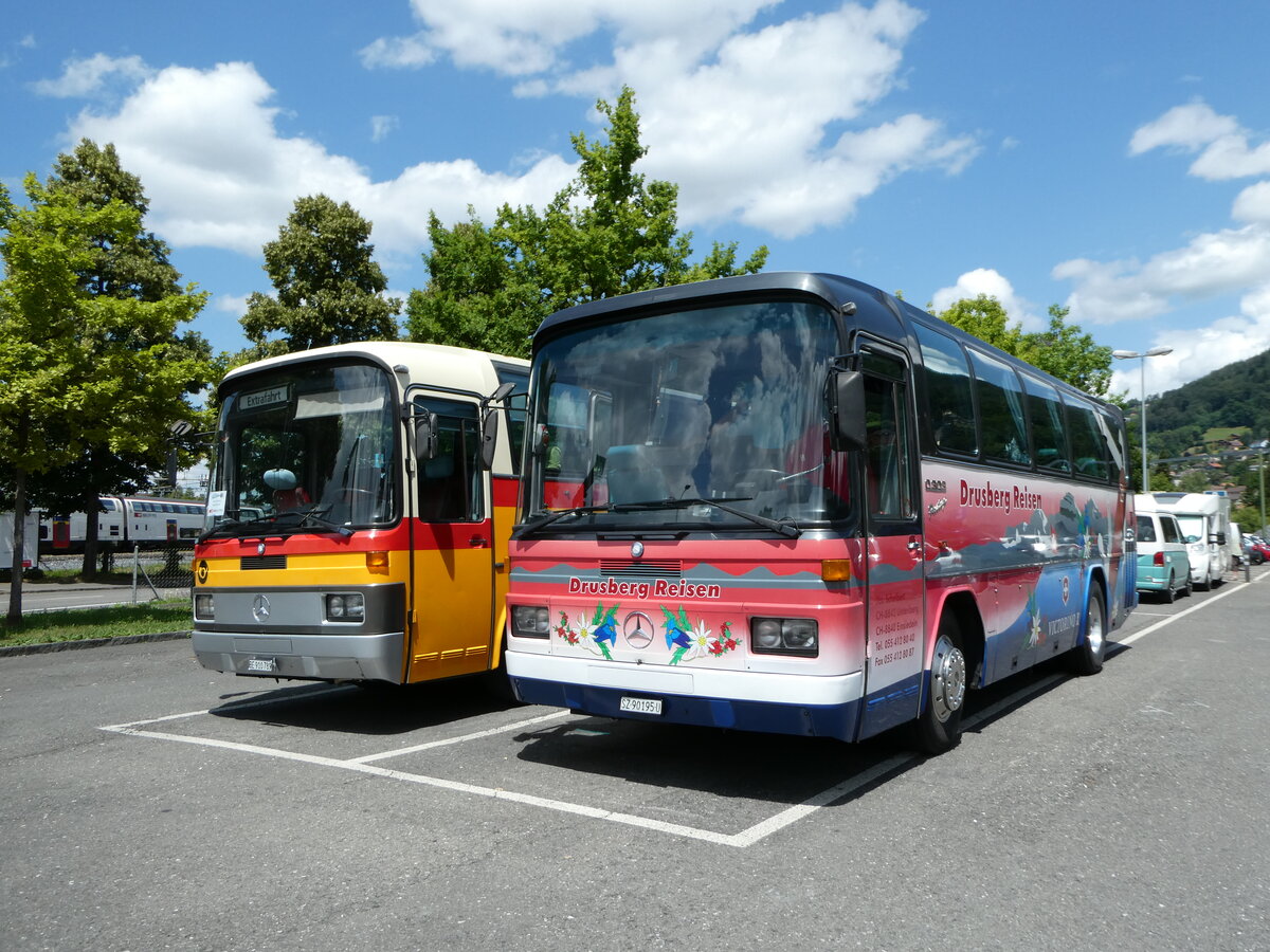 (252'375) - Schelbert, Einsiedeln - SZ 90'195 U - Mercedes (ex Scheidegger, Basel Nr. 30) am 6. Juli 2023 in Thun, Seestrasse