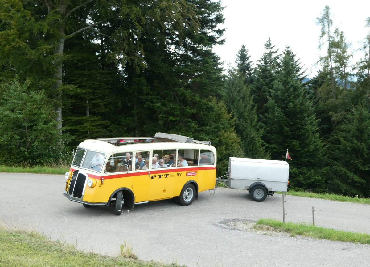 (253'564) - Schmid, Thrishaus - Nr. 3/BE 26'760 - Saurer/Gangloff (ex Geiger, Adelboden Nr. 3) am 9. August 2023 in Bigenthal, Hellweid