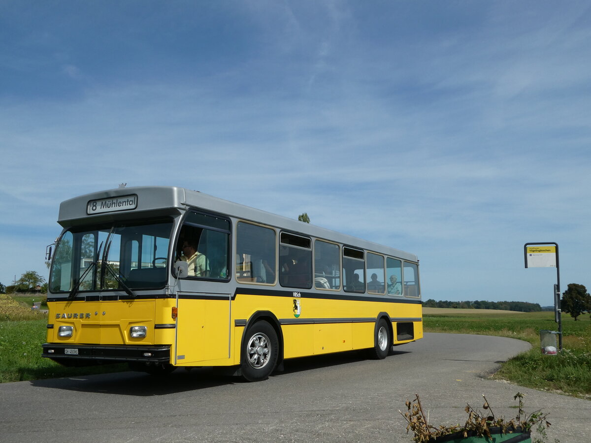 (255'331) - Wanner, Schleitheim - SH 48'096 - Saurer/Hess (ex Ruklic, Schaffhausen; ex VBSH Schaffhausen Nr. 40; ex VBSH Schaffhausen Nr. 19) am 17. September 2023 in Schaffhausen, Vgelingsschen