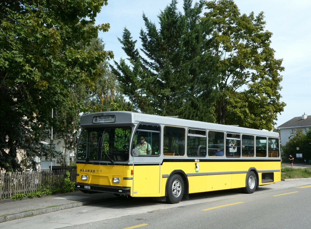 (255'346) - Wanner, Schleitheim - SH 48'096 - Saurer/Hess (ex Ruklic, Schaffhausen; ex VBSH Schaffhausen Nr. 40; ex VBSH Schaffhausen Nr. 19) am 17. September 2023 in Schaffhausen, Falkeneck