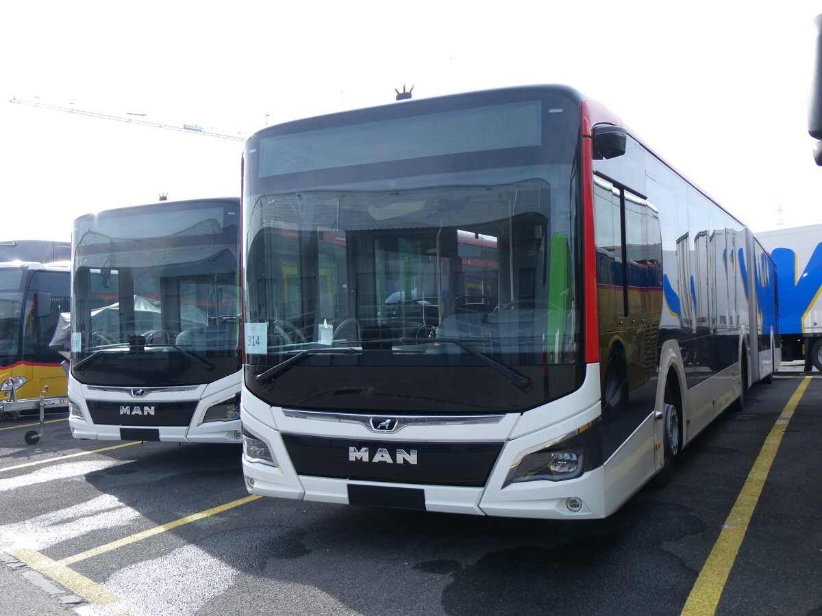 (259'846) - Twerenbold, Baden - Nr. 314 - MAN am 2. Mrz 2024 in Kerzers, Interbus