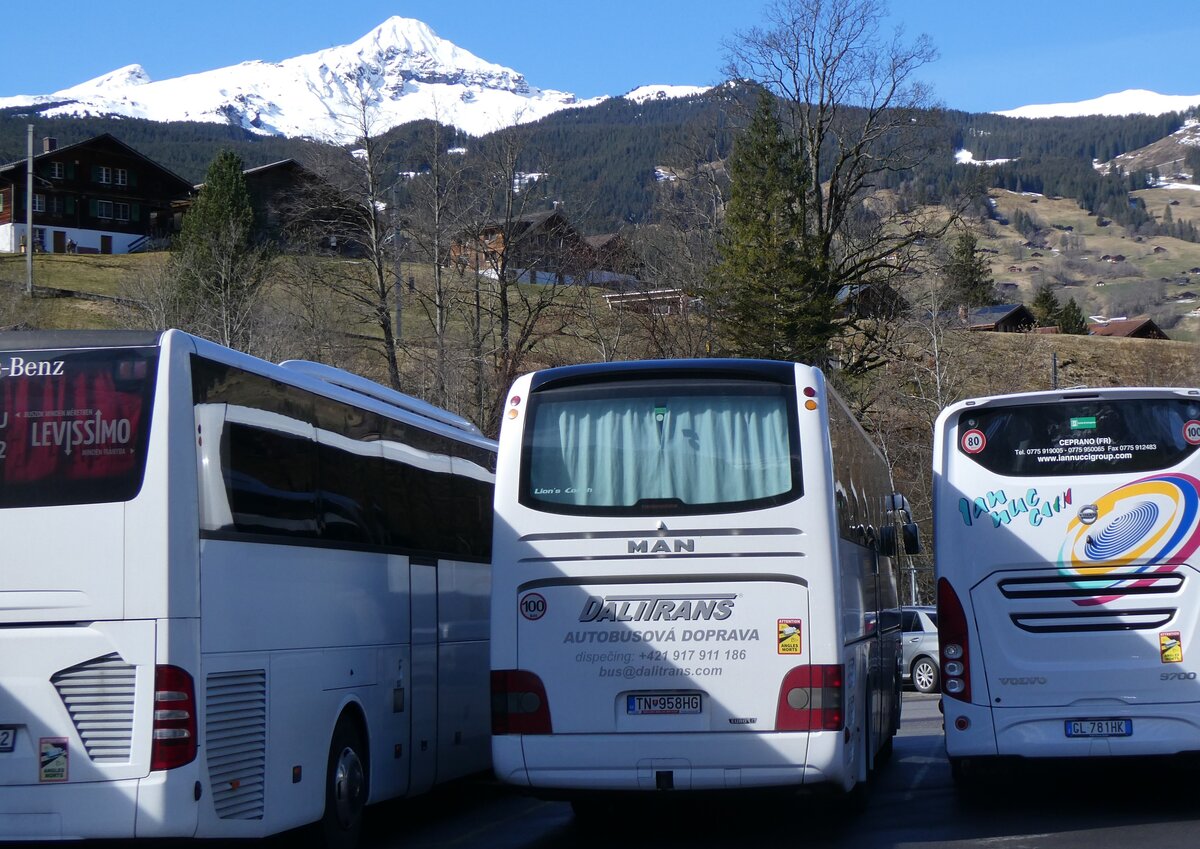 (260'496) - Aus der Slowakei: TALITRANS, Vel'k Bierovce - TN-958HG - MAN am 19. Mrz 2024 in Grindelwald, Grund