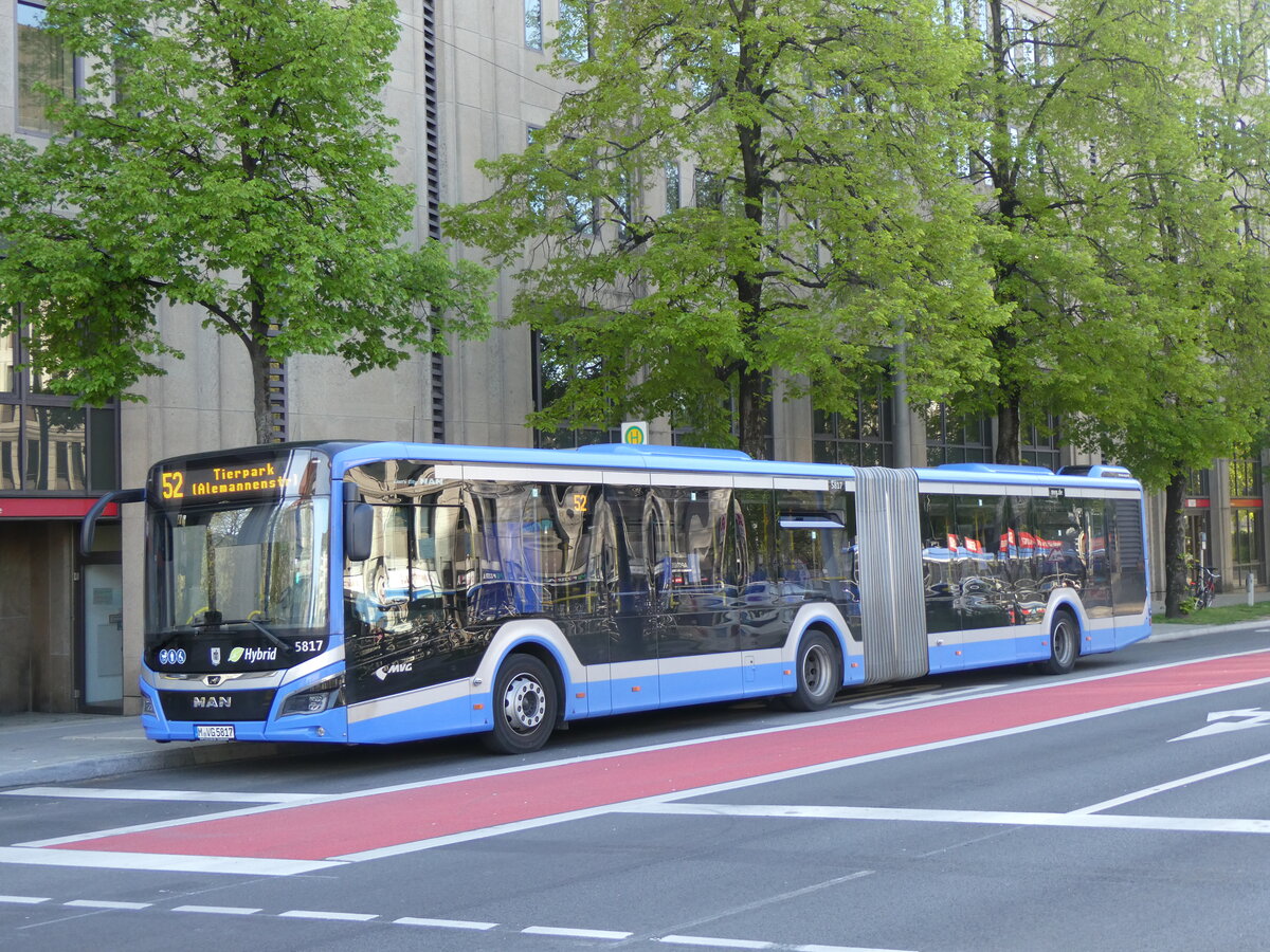 (261'302) - MVG Mnchen - Nr. 5817/M-VG 5817 - MAN am 14. April 2024 in Mnchen, Sendlinger Tor