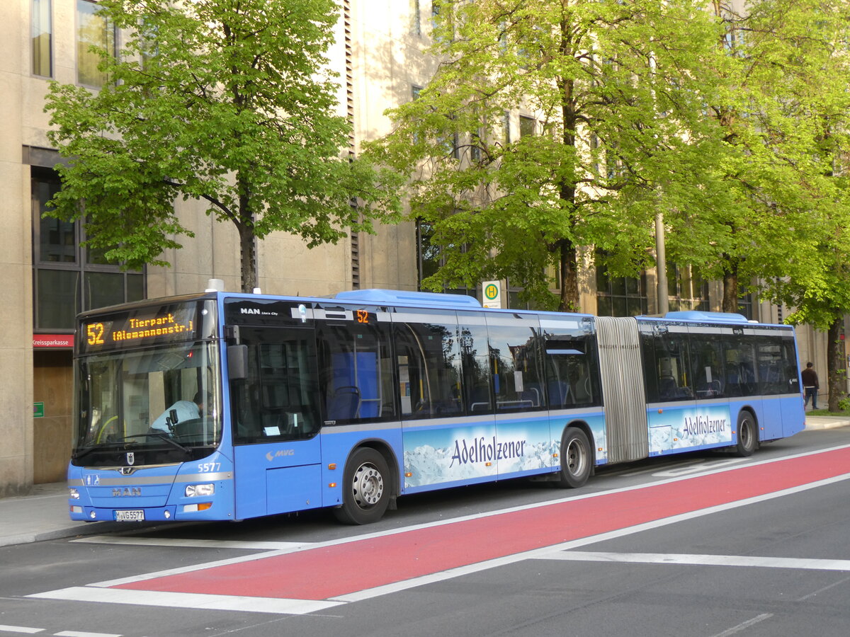 (261'431) - MVG Mnchen - Nr. 5577/M-VG 5577 - MAN am 14. April 2024 in Mnchen, Sendlinger Tor