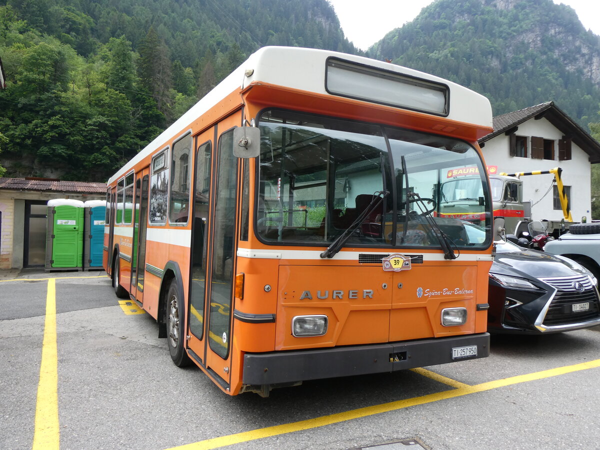 (263'578) - Sgura-Bus, Balerna - TI 257'950 - Saurer/Hess (ex AMSA Chiasso Nr. 15) am 9. Juni 2024 in Faido, Garage Barenco