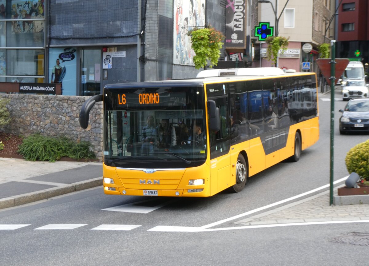 (267'251) - Coopalsa, Andorra la Vella - M8692 - MAN am 18. September 2024 in La Massana, Centre de la Vila