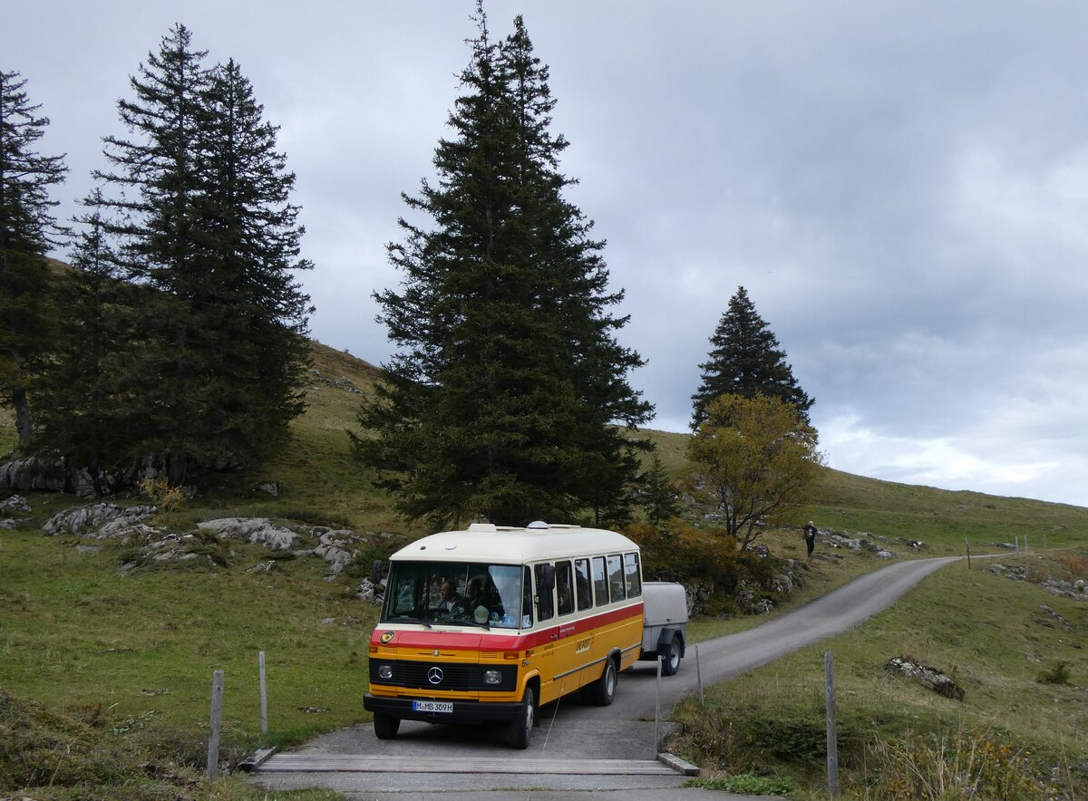 (268'126) - Aus Deutschland: Hahn, Mnchen - Nr. 6/M-MB 309H - Mercedes (ex Mller, CH-Ennetmoos Nr. 6; ex Portenier, CH-Adelboden Nr. 6; ex Geiger, CH-Adelboden Nr. 6) am 12. Oktober 2024 bei der Bundalp