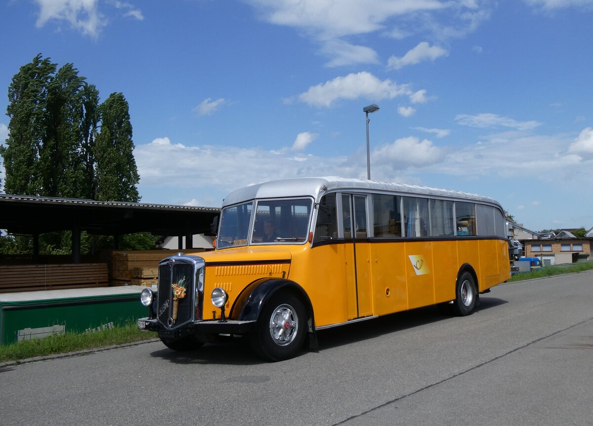 (274'582) - Badertscher, Winterthur - ZH 32'016 U - FBW/Tscher (ex P 24'574; ex P 1394) am 3. Mai 2025 in Attikon, Wegmller