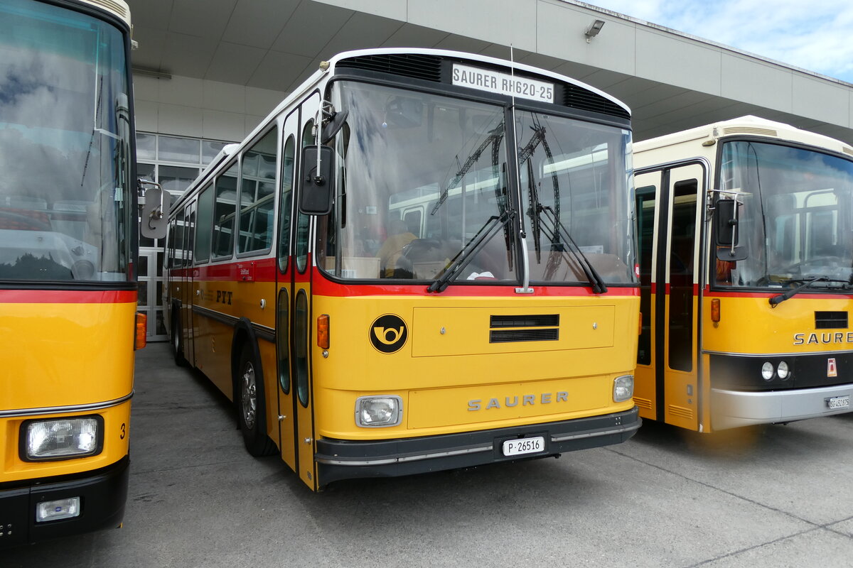 (279'668) - Gloor, Staufen -  P 26'516  - Saurer/Hess (ex ALMAT, Tagelswangen; ex P 26'516) am 30. August 2025 in Oberkirch, CAMPUS Sursee