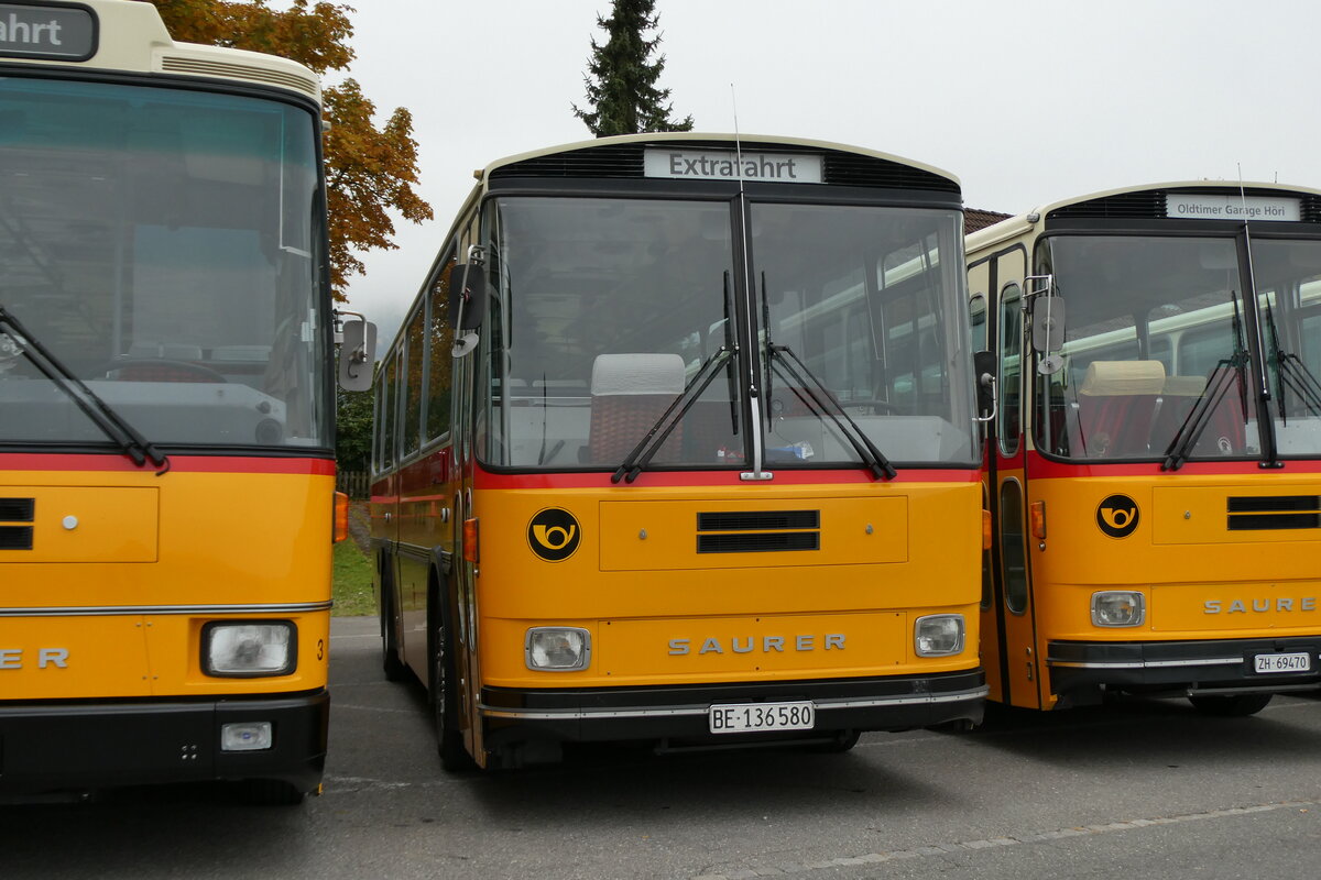 (281'343) - Schumacher, Liebefeld - BE 136'580 - Saurer/Tscher (ex Zimmermann, Niederwangen; ex P 24'289) am 12. Oktober 2025 in Schwarzenberg, Rssli