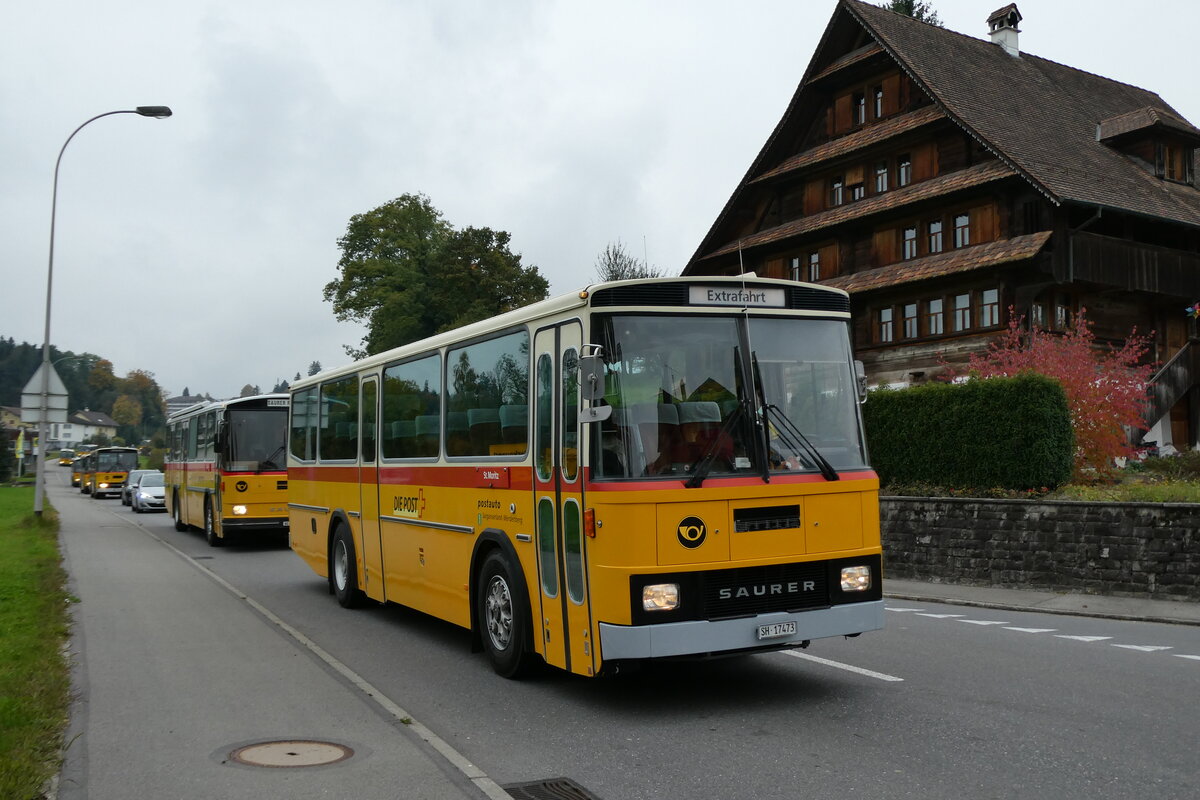 (281'393) - Ruklic, Schaffhausen - SH 17'473 - Saurer/Tscher (ex Schett, Sargans PID 2762) am 12. Oktober 2025 in Hellbhl, Luzernstrasse