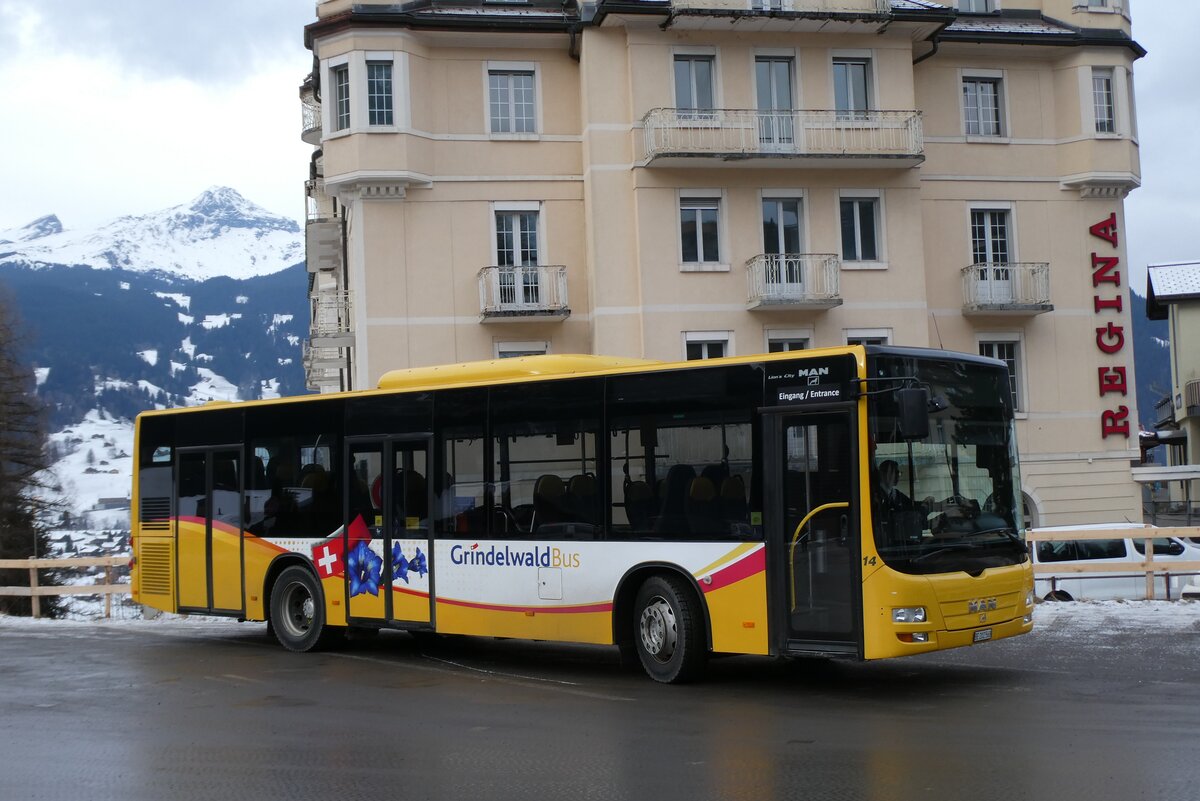(283'639) - GrindelwaldBus, Grindelwald - Nr. 14/BE 202'568 - MAN/G�ppel am 2. Januar 2026 beim Bahnhof Grindelwald