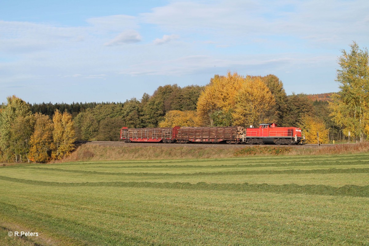 294 599 mit der bergabe 56960 Marktredwitz - Wiesau bei Oberteich. 22.10.13