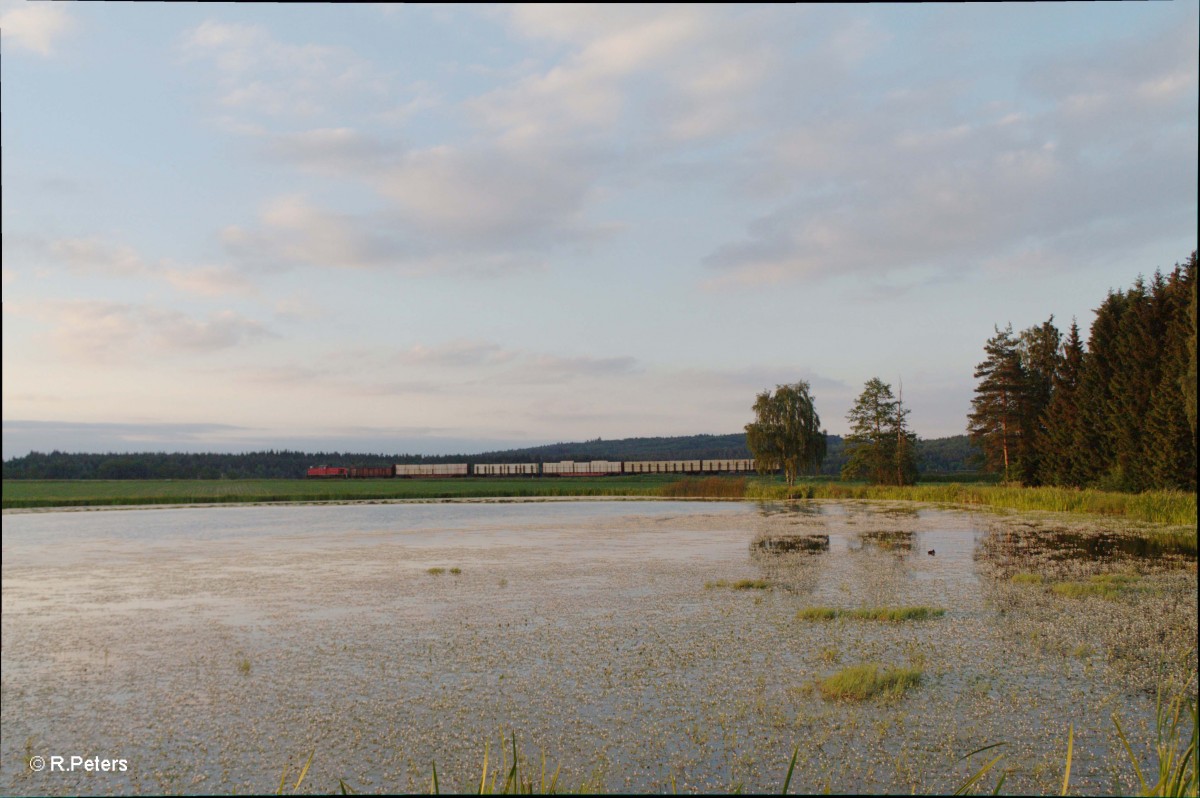 294 601-0 mit der Wiesauer Übergabe nach Marktredwitz bei Oberteich. 15.06.15