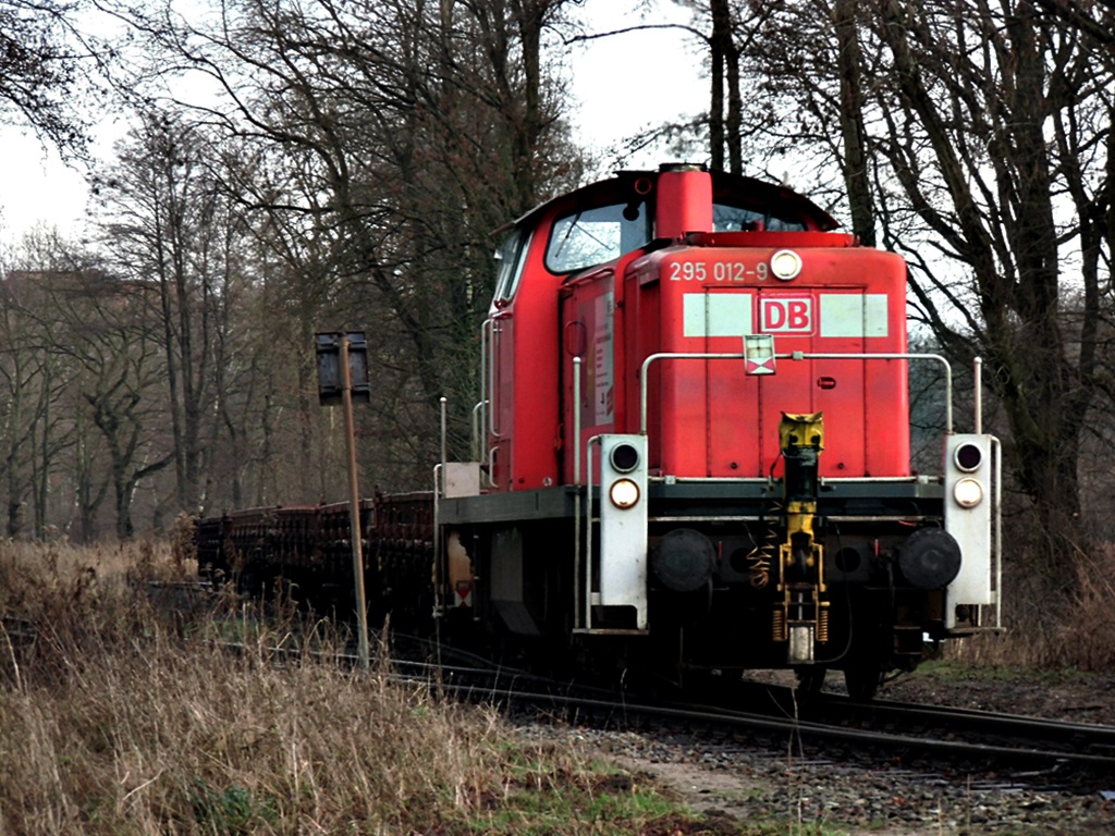 295 012-9 fuhr mit 5 rungenwagen von koops,zum bf glinde,14.01.16