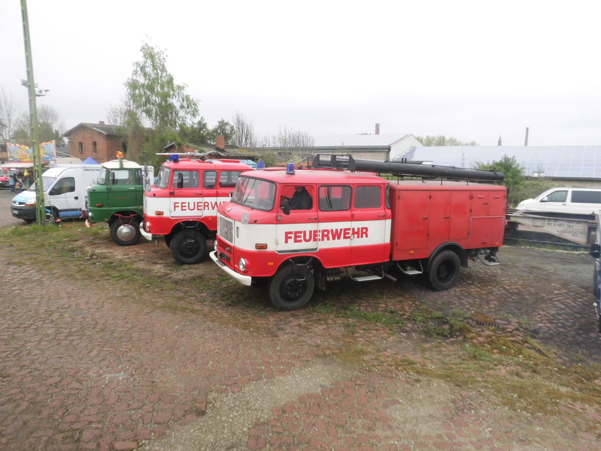 3 W50 LA Fahrzeuge am Egelner Bahnhof am 6.5.17