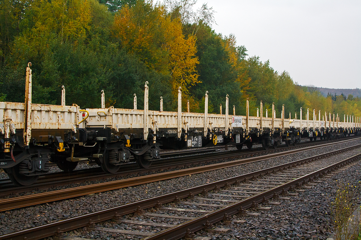 
4-achsiger Drehgestellflachwagen, mit Stahlboden, Seitenklappen , Stirnwandklappen und mit UIC-Drehrungen, 37 80 3988 003-4 D-ERD, Gattung Rens 192 B, der Eiffage Rail Deutschland GmbH, am 20.10.2020 im Zugverband in Herdorf.

TECHNISCHE DATEN:
Spurweite: 1.435 mm (Normalspur)
Gattung/Bauart: Rens – Bauart 192 B
Anzahl der Achsen: 4 in 2 Drehgestellen
Länge über Puffer: 19.900 mm
Drehzapfenabstand:  14.860 mm
Achsabstand in den Drehgestellen: 1.800 mm
Eigengewicht: 25.040 kg
Ladelänge: 18.400 mm
Ladebreite: 2.650 mm
Ladefläche: 49,0 m²
Maximale Ladegewicht: 64,9 t (Streckenklasse D)
Höchstgeschwindigkeit: 100 km/h (beladen) / 120 km/h (leer)
Kleinster befahrbarer Gleisbogenhalbmesser: R 75 m
Feststellbremse: ja
Bauart der Bremse: KE – GP – A (K) – 12”
Bremssohle: C 810
Besonderheiten: Boden aus 8 mm Stahlblech 