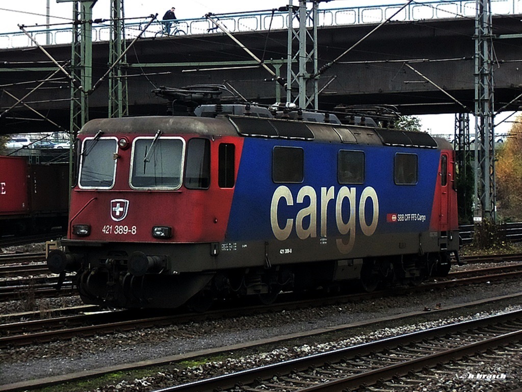 421 389-8 stand abgebgelt beim bf hh-harburg,15.11.14