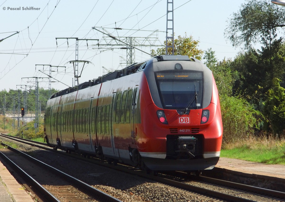 442 211 mit dem RE Leipzig - Cottbus in Leipzig-Thekla, 30.09.2013.
Seit dem Fahrplanwechsel halten hier nur noch S-Bahn Züge.