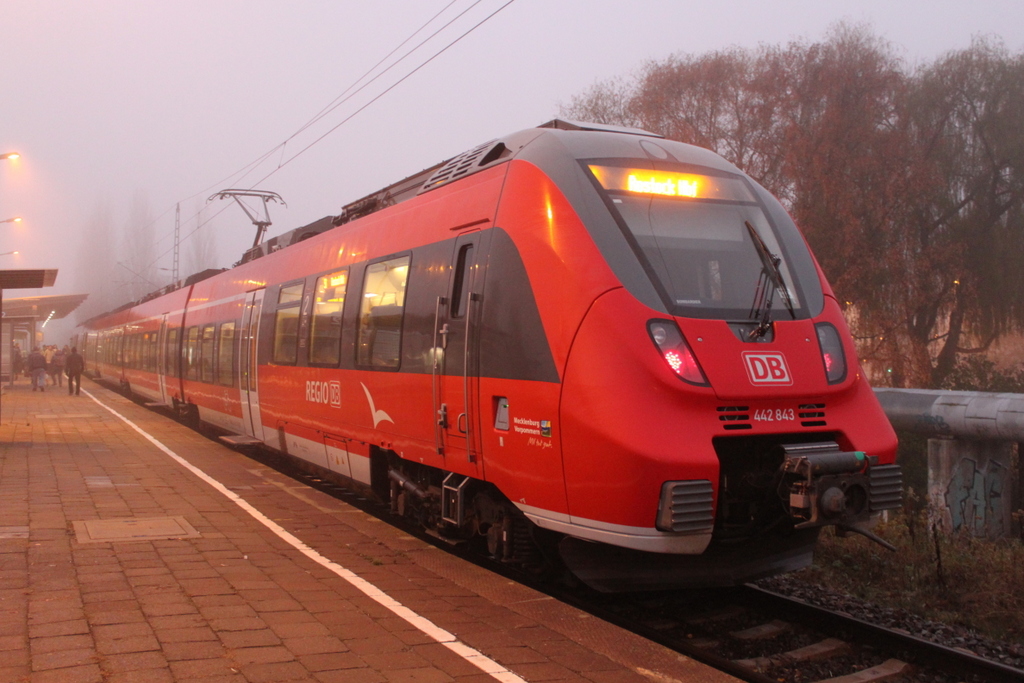 442 843 als S1(Warnemnde-Rostock)kurz vor der Ausfahrt im Haltepunkt Rostock-Holbeinplatz am 25.11.2016 gegen 07:42 Uhr