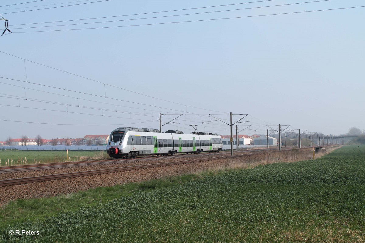 442 als S1 37130 Wurzen - Leipzig Miltizer Allee bei Borsdorf. 29.03.14